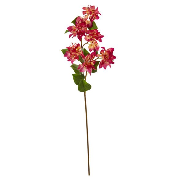37 Bougainvillea Flower Bloom Collection - SKU #2343
